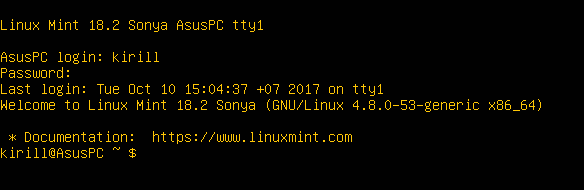 Один из сеансов эмулятора терминала, который работает под графической оболочкой Linux Mint