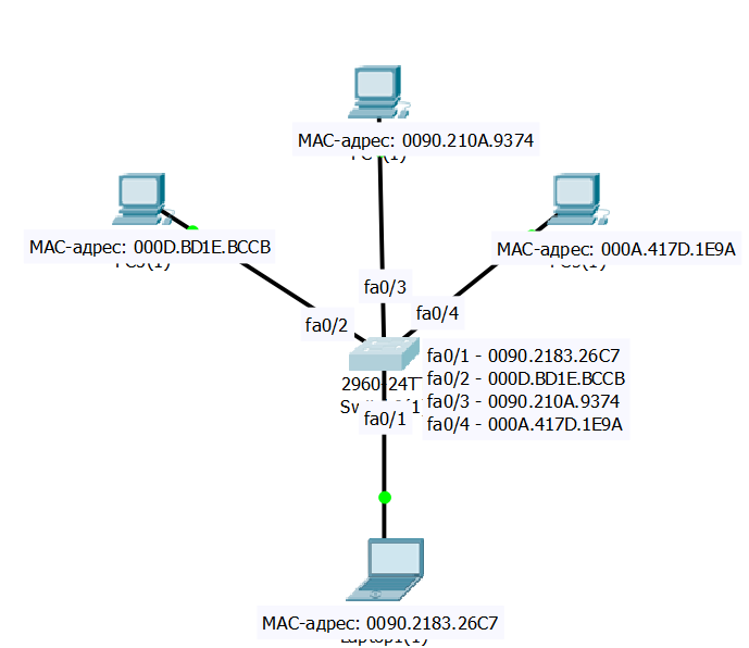 Тонкий ethernet с использованием топологии шина