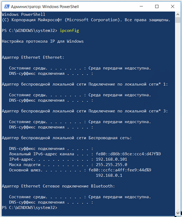 Пример использования команды ipconfig в Windows