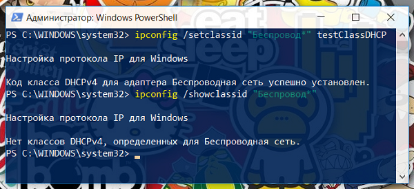 Команда ipconfig позволяет изменить класс DHCP пользователя в Windows