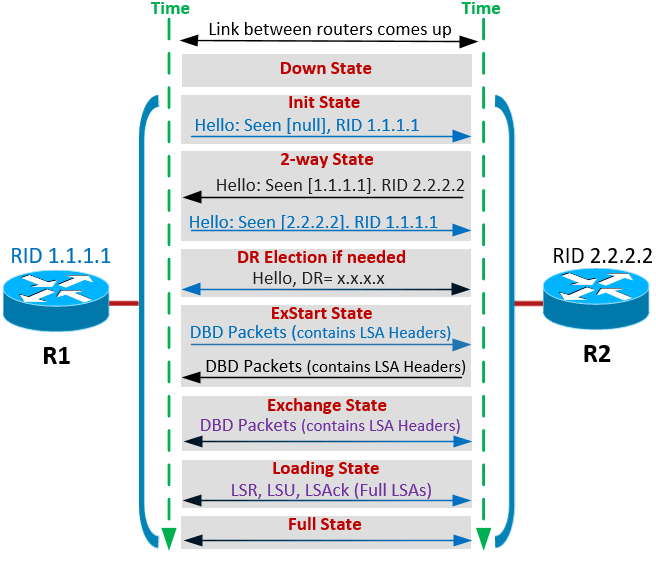 2.4 Диаграмма, демонстрирующая процесс установления соседства и обмен маршрутной информацией в OSPF